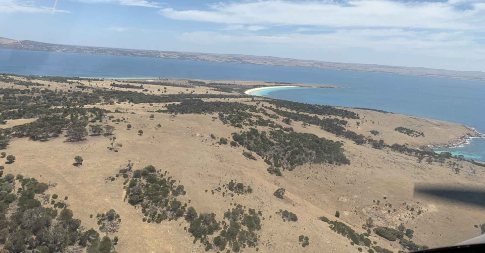 Boston Island Visit 2024